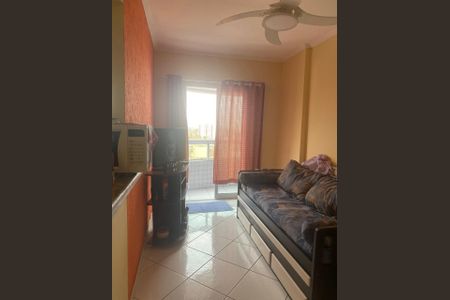 Sala de apartamento para alugar com 1 quarto, 55m² em Vila Caiçara, Praia Grande