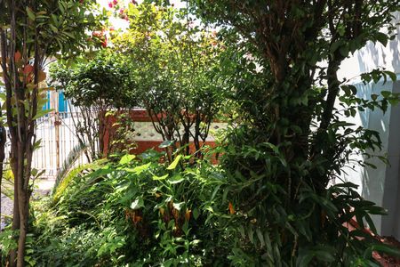 Vista do Quarto de casa à venda com 2 quartos, 70m² em Vila Brasilina, São Paulo