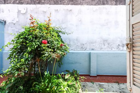 Sala de casa à venda com 2 quartos, 70m² em Vila Brasilina, São Paulo