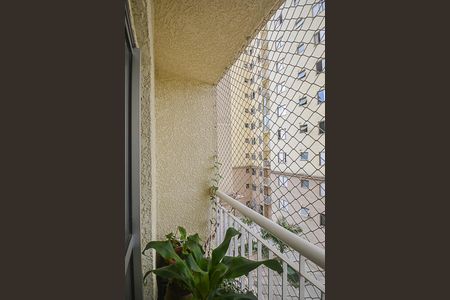 Sacada da Sala 1 de apartamento para alugar com 2 quartos, 60m² em Planalto, São Bernardo do Campo