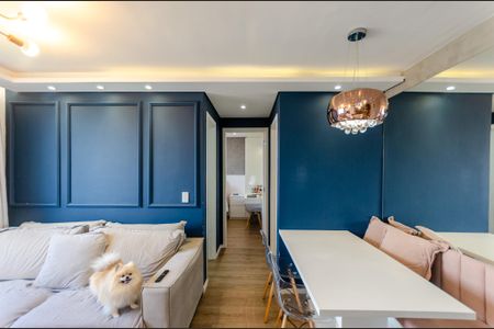 Sala de apartamento para alugar com 2 quartos, 43m² em Jardim Iris, São Paulo