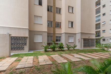 Vista Quarto 1 de apartamento para alugar com 2 quartos, 52m² em Orestes Ongaro, Sumaré