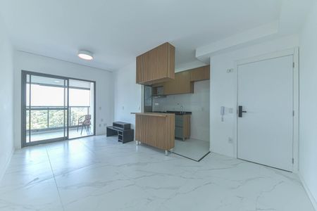 Sala de apartamento para alugar com 2 quartos, 64m² em Santo Amaro, São Paulo