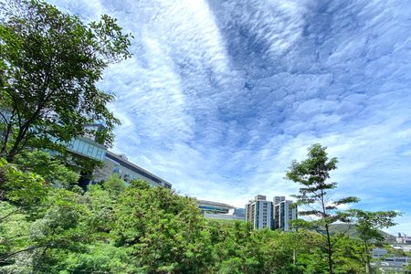 Vista de kitnet/studio à venda com 1 quarto, 29m² em Buritis, Belo Horizonte