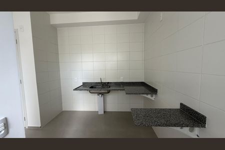 Cozinha de apartamento para alugar com 2 quartos, 47m² em Palmeiras, Belo Horizonte