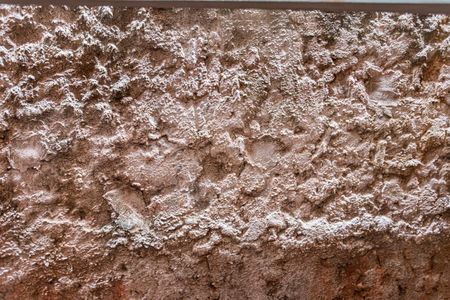 Vista Quarto de casa para alugar com 1 quarto, 70m² em Vila Pereira Barreto, São Paulo