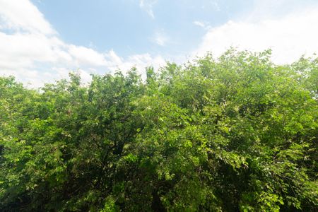 Vista do Quarto 1 de apartamento para alugar com 2 quartos, 42m² em Paciência, Rio de Janeiro