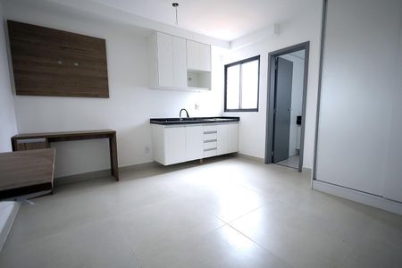 Sala, Cozinha, Quarto de apartamento para alugar com 1 quarto, 23m² em Vila Sao Pedro, Santo André