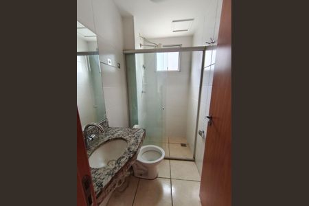Banheiro de apartamento para alugar com 2 quartos, 50m² em Conjunto Helena Antipoff, Belo Horizonte
