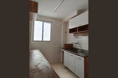 Cozinha de apartamento para alugar com 2 quartos, 50m² em Conjunto Helena Antipoff, Belo Horizonte