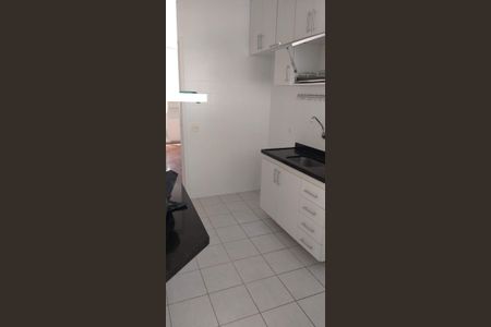Cozinha de apartamento para alugar com 3 quartos, 114m² em Coracao de Jesus, Belo Horizonte