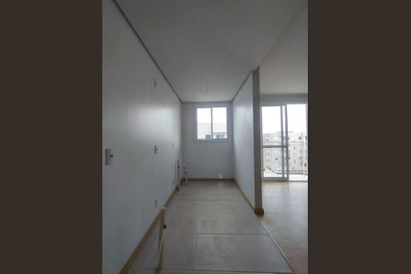 Cozinha de apartamento para alugar com 2 quartos, 50m² em Santo Afonso, Novo Hamburgo