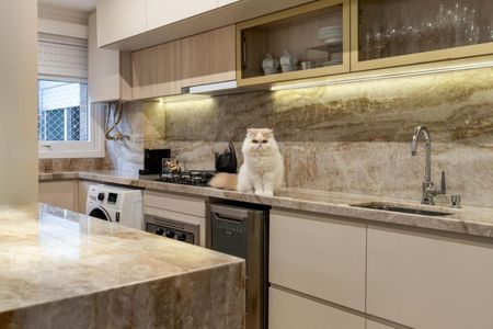 Cozinha de apartamento para alugar com 2 quartos, 55m² em Rio Branco, Porto Alegre