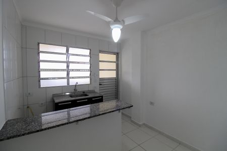 Cozinha de kitnet/studio para alugar com 1 quarto, 30m² em Rolinópolis, São Paulo