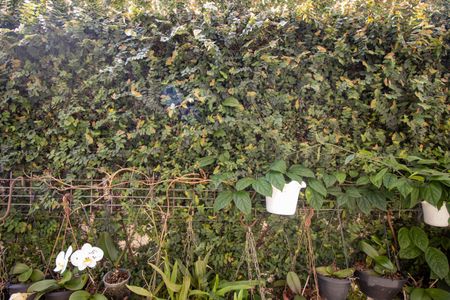 Vista Quarto de apartamento à venda com 2 quartos, 109m² em Jardim Henriqueta, Taboão da Serra