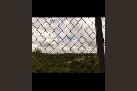 Vista da janela de apartamento para alugar com 2 quartos, 50m² em Jardim Sao Domingos, Guarulhos