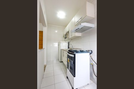 Cozinha de apartamento para alugar com 3 quartos, 73m² em Jardim Nely, Indaiatuba