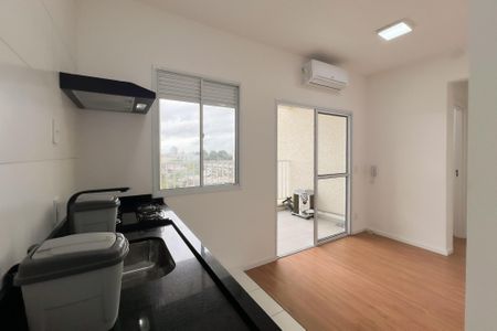 Cozinha de apartamento para alugar com 2 quartos, 50m² em Jardim Santo Antonio, Valinhos