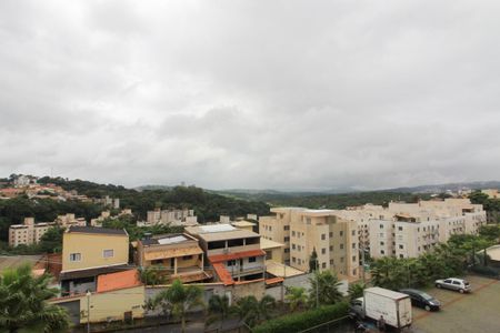 Vista Quarto 1 de apartamento para alugar com 2 quartos, 45m² em Frei Leopoldo, Belo Horizonte