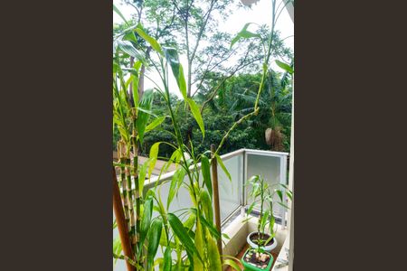 Sacada da Sala de apartamento para alugar com 2 quartos, 60m² em Jabaquara, São Paulo