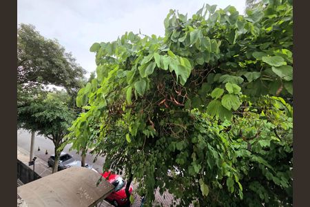 Vista de apartamento para alugar com 2 quartos, 75m² em Indianópolis, São Paulo