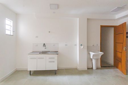 Cozinha de apartamento para alugar com 1 quarto, 35m² em Cursino, São Paulo