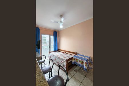 Sala de apartamento para alugar com 1 quarto, 30m² em Cidade Ocian, Praia Grande