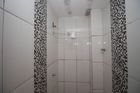 Banheiro Social de apartamento para alugar com 1 quarto, 30m² em Setor Habitacional Vicente Pires, Brasília